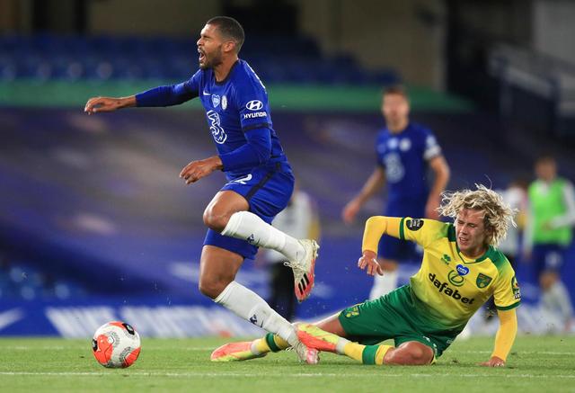 严厉打击宠 严厉打击宠